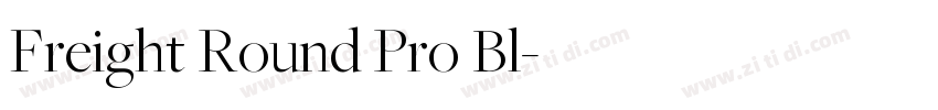 Freight Round Pro Bl字体转换